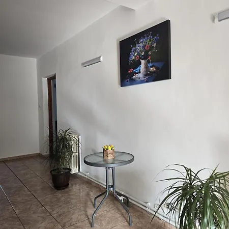 Pensionat Prahoveana *